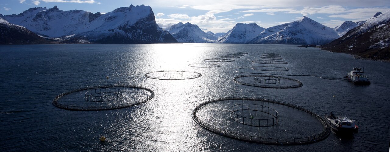 Des bassins aquacoles dans un fjord en Norvège, avec des montagnes enneigées au fond. Des bassins aquacoles dans un fjord en Norvège, avec des montagnes enneigées au fond.