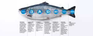 Quelle est la teneur en oméga-3 du saumon d'élevage ?